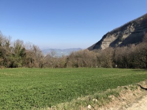 Bild: Ferienhaus im Hinterland von Rimini, Natur Pur